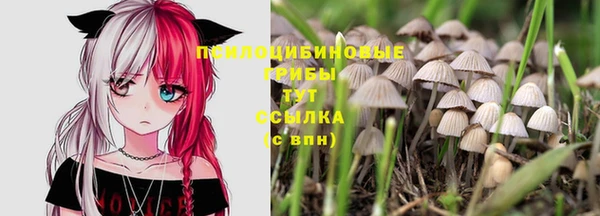 трава Белоозёрский
